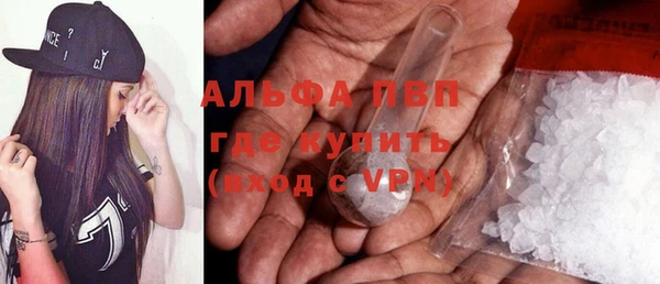 индика Бугульма