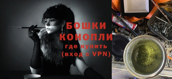 индика Бугульма