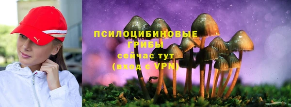 круглые Бронницы