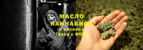 индика Бугульма
