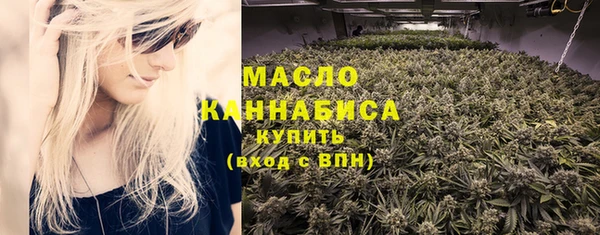 индика Бугульма
