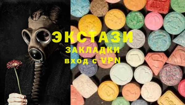индика Бугульма