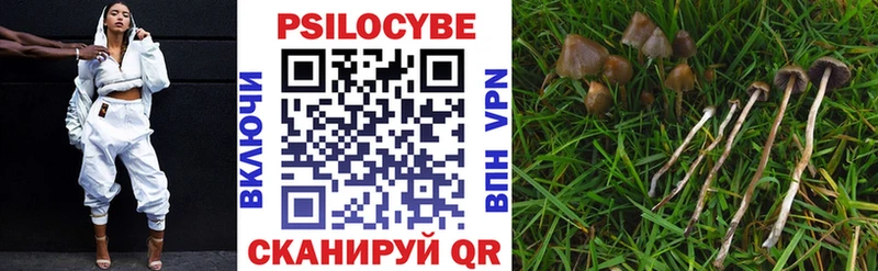 mega ONION  Грозный  Галлюциногенные грибы Psilocybe 