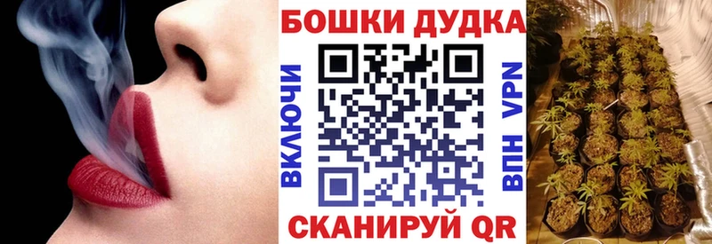 Бошки марихуана план  где купить   Грозный 